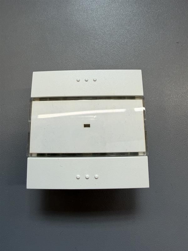 Berker Tastsensor 1fach mit Beschriftungsfeld 75161089